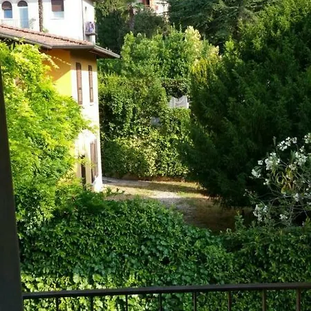 L'ulivo * Gardone Riviera